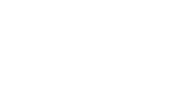 Plan Seguro
